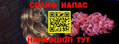 хмурый Тара