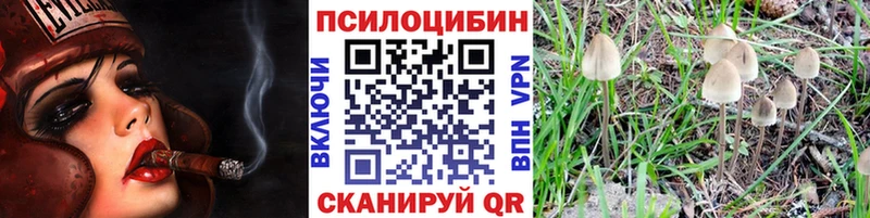 Псилоцибиновые грибы Psilocybe  kraken рабочий сайт  Троицк 