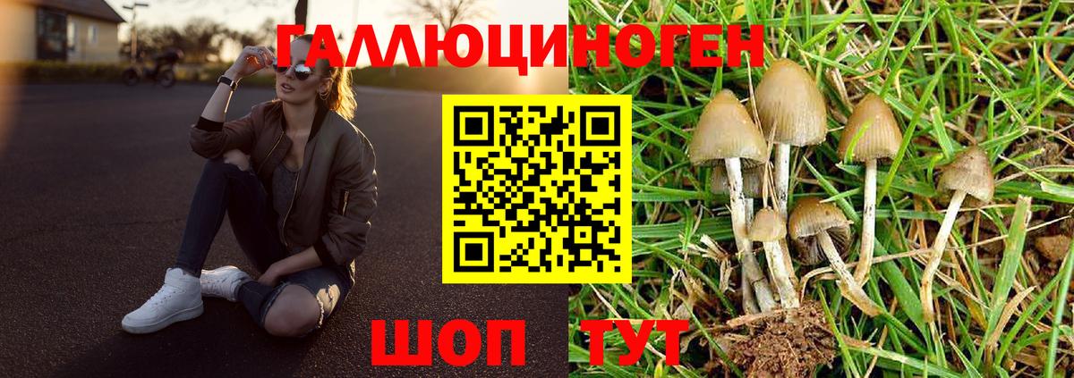 Псилоцибиновые грибы Psilocybine cubensis  Галлюциногенные грибы мухоморы  Вход с VPN  Троицк 